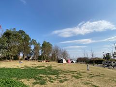 -两河城市森林公园