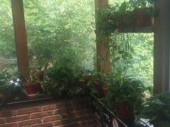 -金豆角砂锅焖面(安贞店)