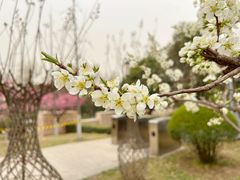 -鹦鹉寺公园