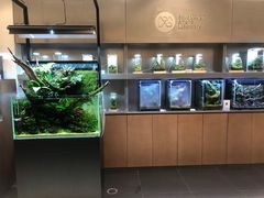 -北京SKP