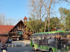 -合肥滨湖国家森林公园