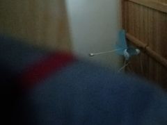 -巢爷老味(东方红店)