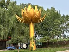 -白洋淀景区