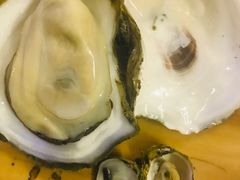 -土蚝·高压锅生蚝(百姓美食街店)