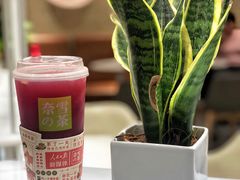 -奈雪的茶(新天地广场PRO店)