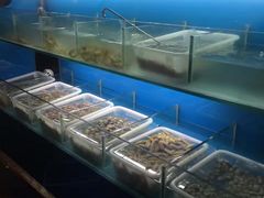 -宁波威斯汀酒店