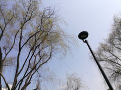 -孝子祠公园