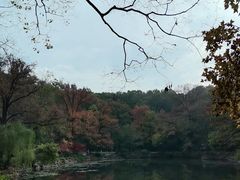-灵谷景区