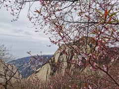 -华山风景名胜区