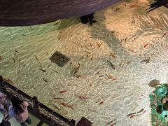 -华夏文旅西安度假区