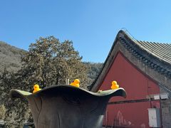 -潭柘寺景区