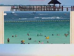 -瑶湖郊野森林公园