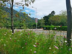 -大雁山风景区