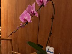 -海尔洲际酒店天下一品中餐厅