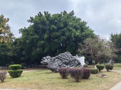 -永安龟山公园