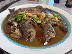 -呼吸森林·生态农庄农家乐私房菜