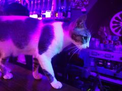 -星宿秘码(鼓浪屿老店)
