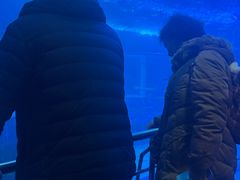 -太平洋海底世界