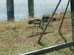 -武清南湖绿博园