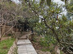 -桃源山庄·水蜜桃采摘·柴火鸡·烧烤团建(龙泉山店)