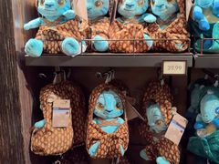 -奥兰多迪士尼动物王国乐园