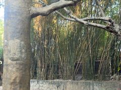 -长鹿旅游休博园