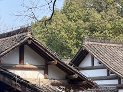 -中国茶叶博物馆(双峰馆区)