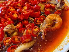 -甄御•海鲜新青岛菜(麦岛店)