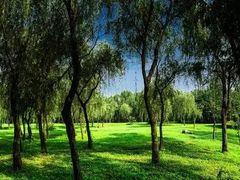 -蜀冈西峰生态公园