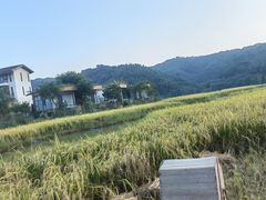 -黄但记老店·陈村粉食府
