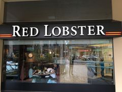-RED LOBSTER(多伦多DT店)