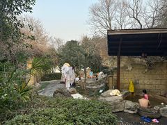 -金孔雀温泉旅游度假村