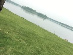 -桐乡凤凰湖