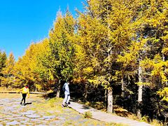 -苏木山森林公园