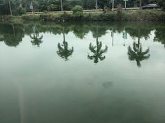 -莲湖山庄