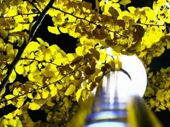 -辽东学院(南校区)