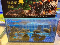 -川骄海鲜自助(河东店)