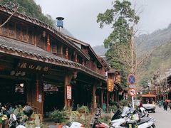-龙翔山庄雷鸡肉(青城后山泰安古镇店)