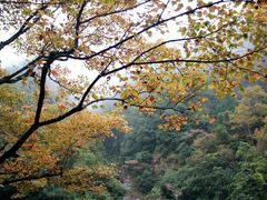 -花岩国家森林公园