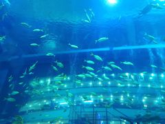 -成都浩海立方海洋公园