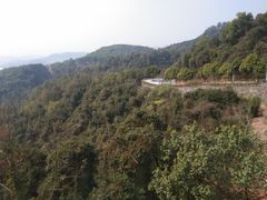 -火炉山森林公园