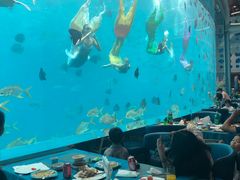 -瑞德姆美人鱼海底演艺主题餐厅(亚龙湾店)