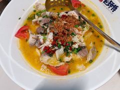 -港升鱼师傅·中山脆肉鲩