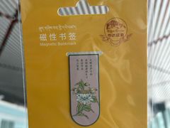 -布达拉宫