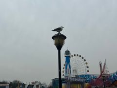 -大连圣亚海洋世界