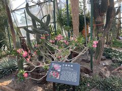 -北京植物园-展览温室