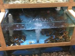 水产区-良师门滨海人家·海鲜·家常菜(滨海城店)