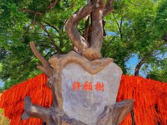 -八大处公园