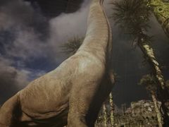 -陕西自然博物馆