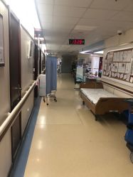 -复旦大学附属妇产科医院(杨浦院区)